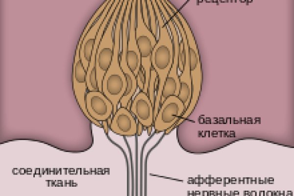 Black sprut ссылка рабочая