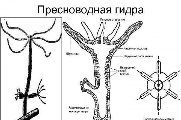 Блэк спрут площадка blacksprut pl