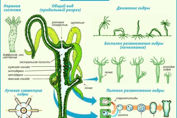 Рабочая ссылка на блэкспрут 1blacksprut me